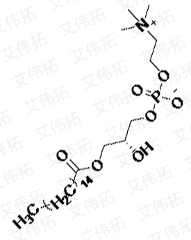棕櫚酰溶血卵磷脂 P-LysoPC